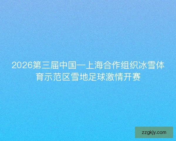 2026第三届中国—上海合作组织冰雪体育示范区雪地足球激情开赛